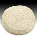 Ayate+Cellulite+Scrub+from+Body+Crystal