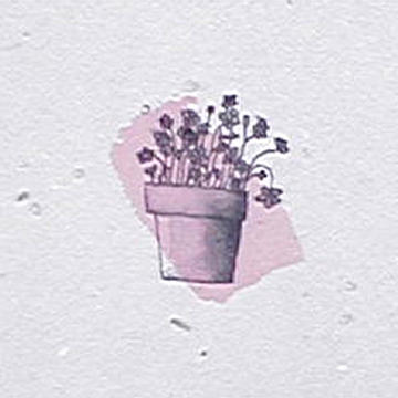 Grow-A-Note Greeting Cards from Green Field Paper Company