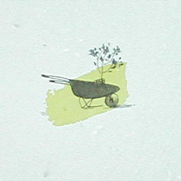 Grow-A-Note Greeting Cards from Green Field Paper Company