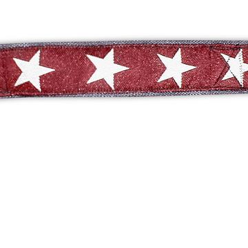 Small Adjustable Hemp Collar from Earthdog
